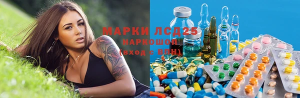 винт Гусь-Хрустальный