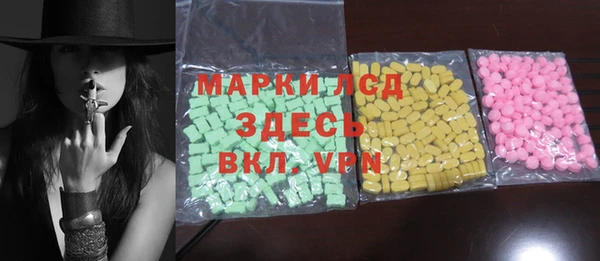 стаф Алагир
