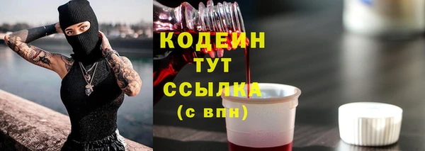 индика Анжеро-Судженск