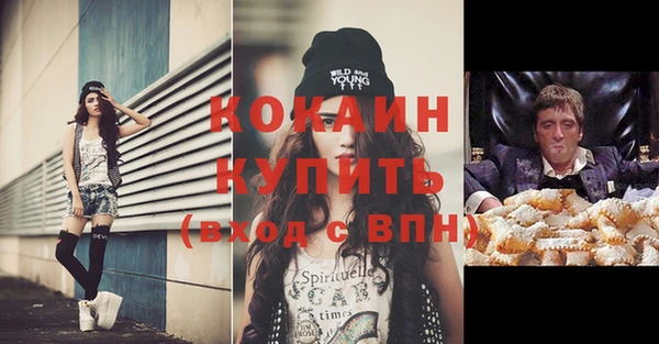 винт Гусь-Хрустальный