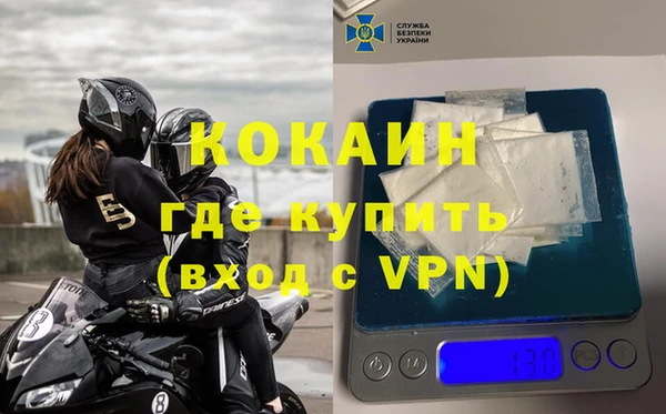 индика Дмитриев