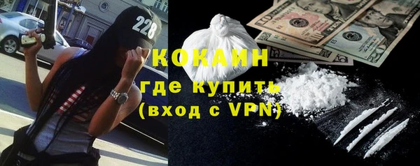 индика Дмитриев