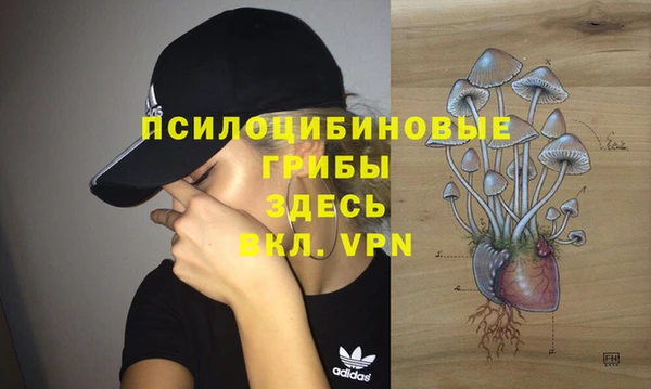 индика Анжеро-Судженск