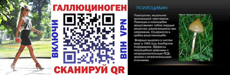 KRAKEN как войти  Дмитриев  Галлюциногенные грибы Magic Shrooms  это наркотические препараты  закладки 